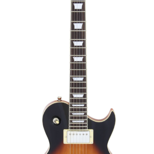 PE 350 - Lightweight Les Paul Body Guitar From Aria